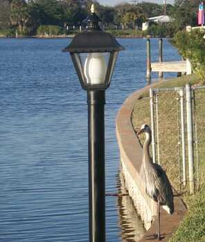 heron_seawall_data.jpg