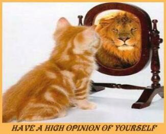 kitty_lion.jpg