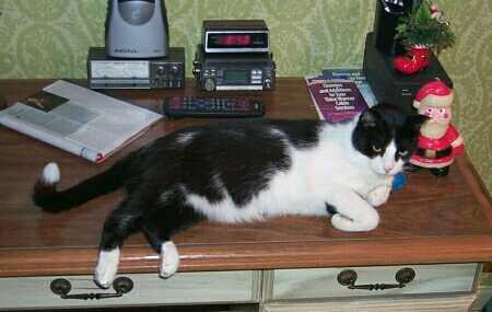 oreo_desk_pcroom.jpg