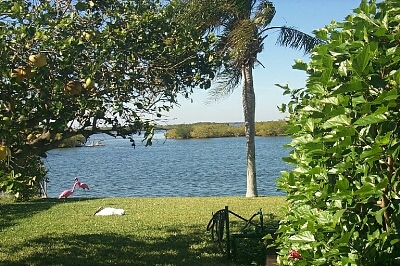 rad_rm_view.jpg