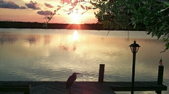 sunset_heron.jpg